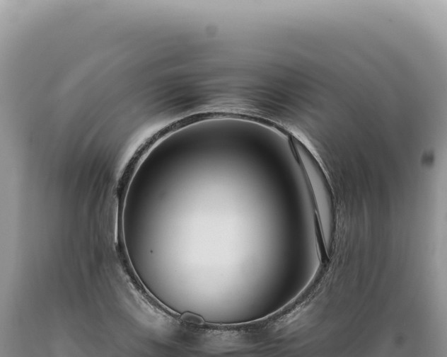 X0000089371123200706221215