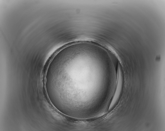 X0000089371124200706221215