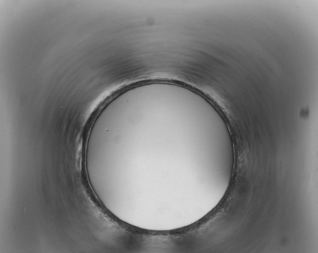 X0000089371126200706221215