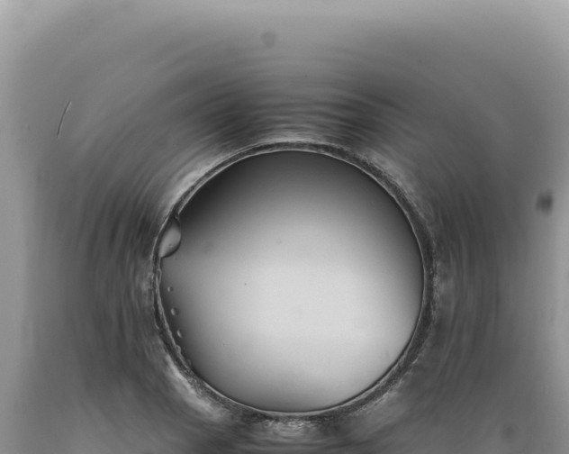 X0000089371129200706221215