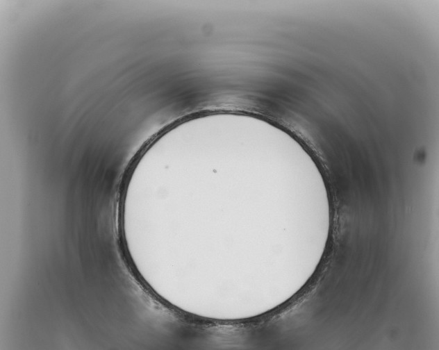 X0000089371130200706221215