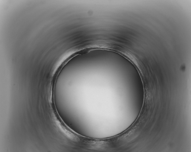 X0000089371131200706221215