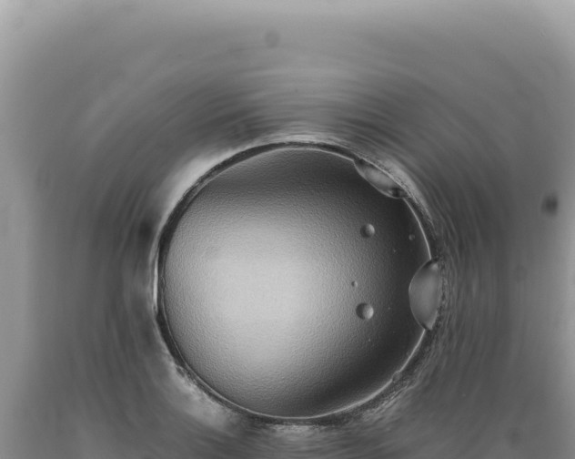 X0000089371132200706221215