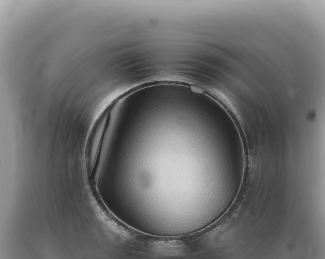 X0000089371133200706221215