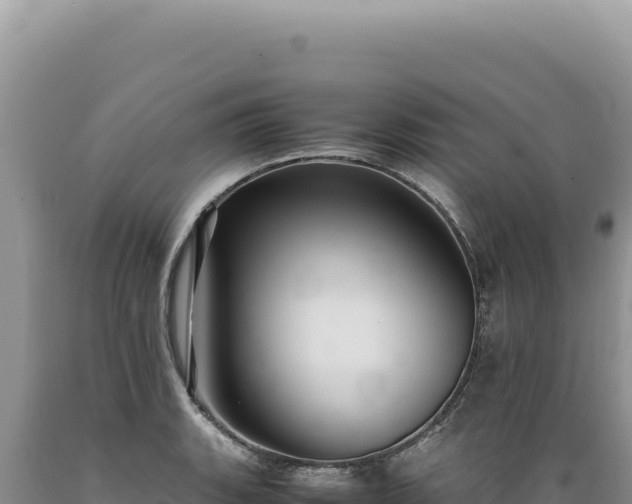 X0000089371135200706221215