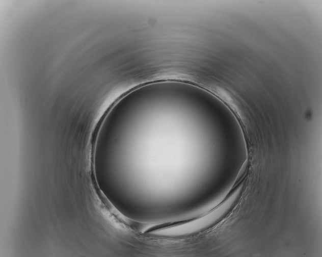 X0000089371140200706221216