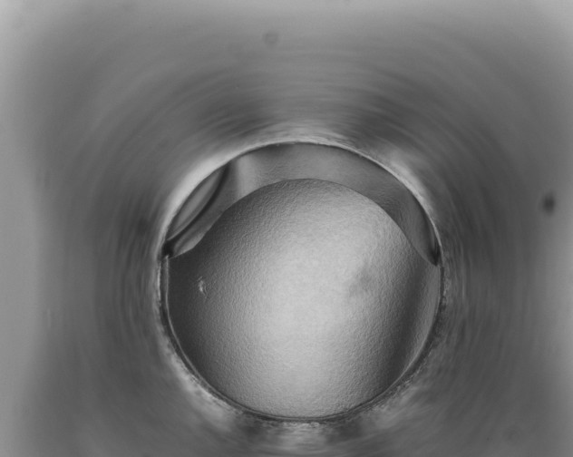 X0000089371144200706221216