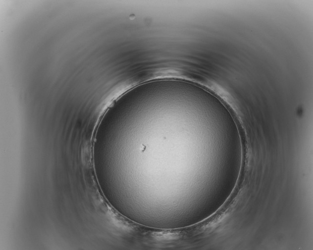 X0000089371145200706221216