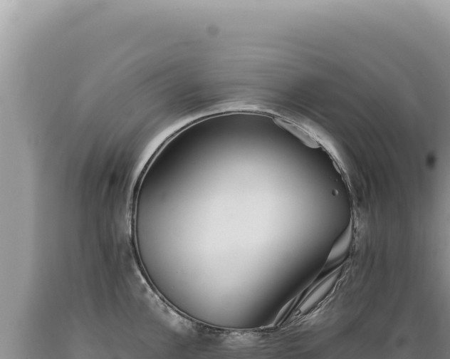 X0000089371148200706221216