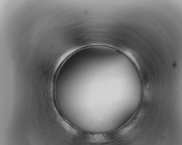 X0000089371149200706221216