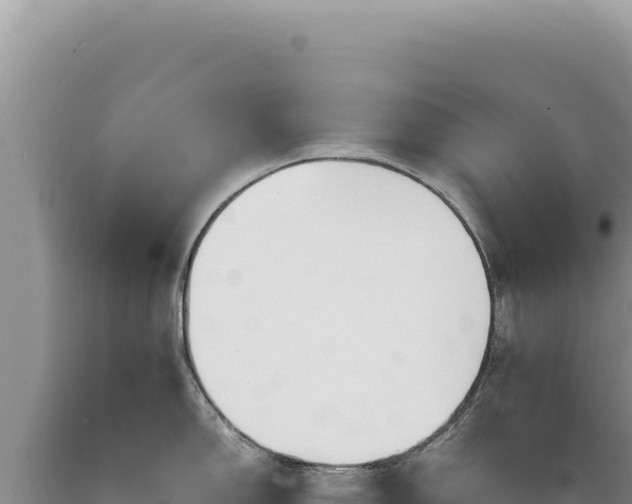 X0000089371150200706221216