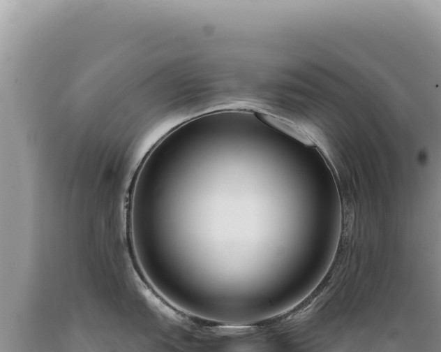 X0000089371151200706221216