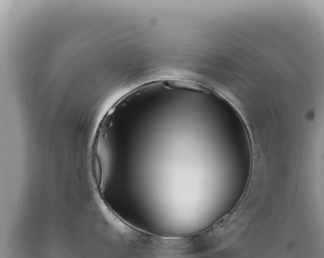 X0000089371152200706221216