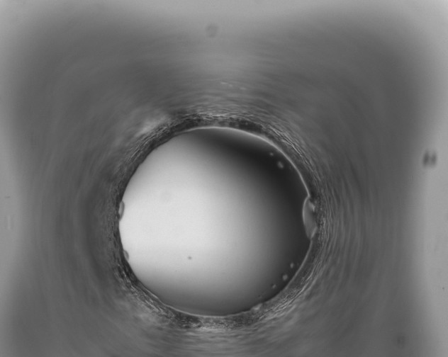 X0000089371153200706221215