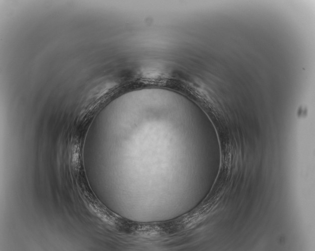 X0000089371154200706221215