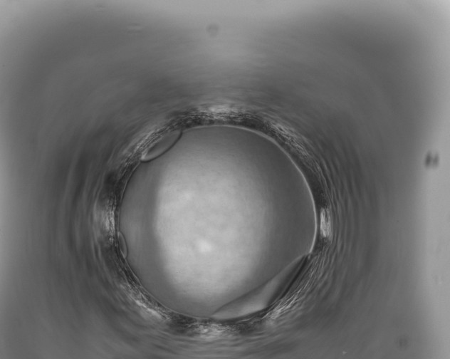 X0000089371155200706221215