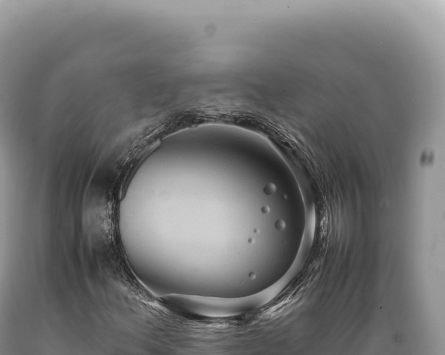 X0000089371156200706221215