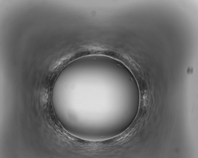 X0000089371157200706221215