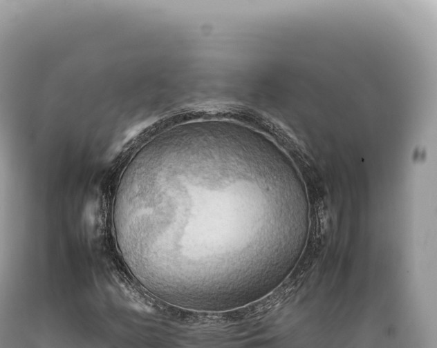 X0000089371158200706221215