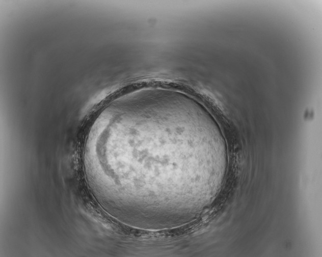 X0000089371159200706221215