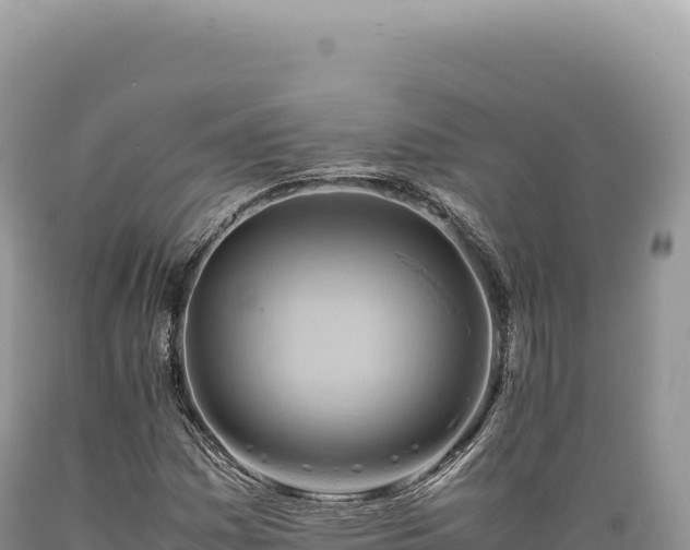 X0000089371161200706221215