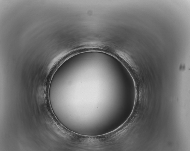 X0000089371164200706221215