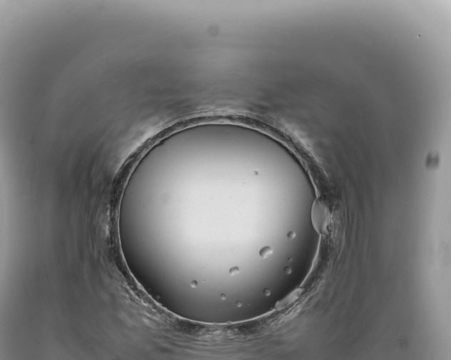 X0000089371165200706221215