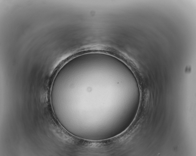 X0000089371166200706221215
