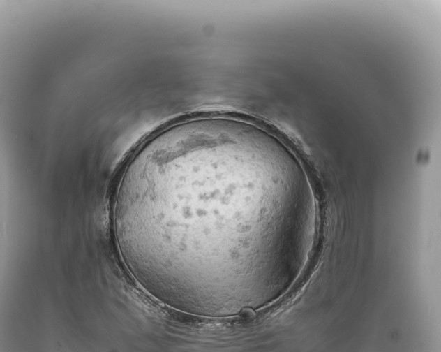 X0000089371167200706221215