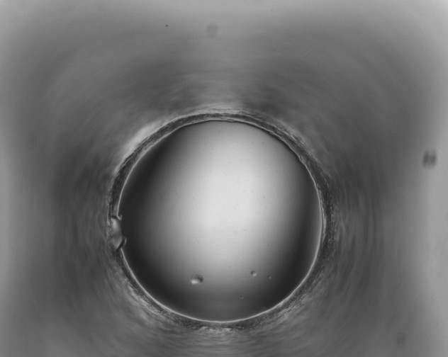 X0000089371168200706221215