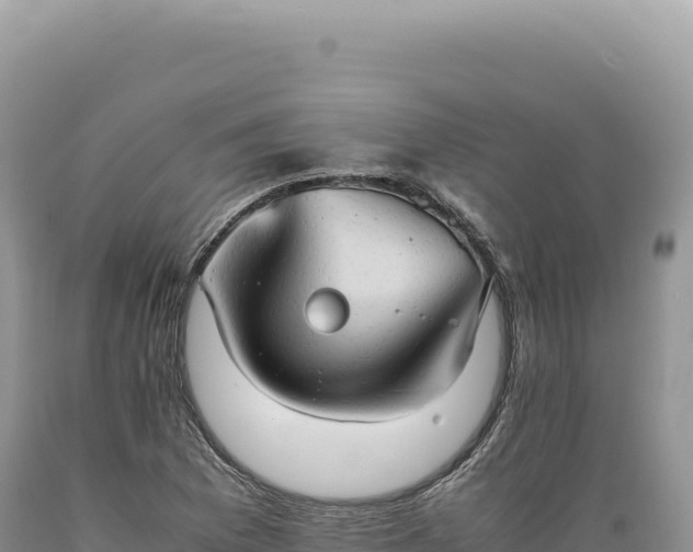 X0000089371169200706221215