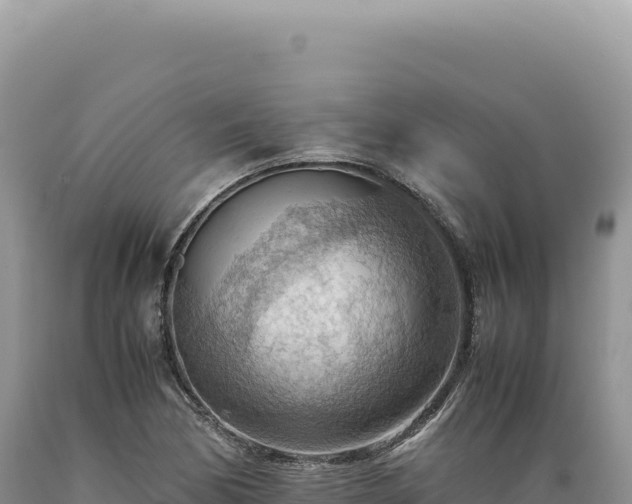X0000089371170200706221215