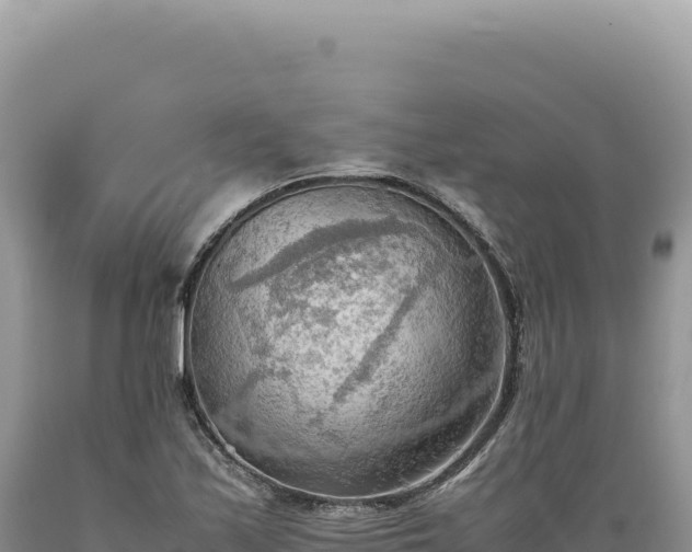X0000089371171200706221215