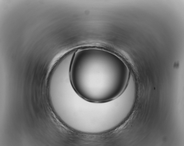 X0000089371172200706221215