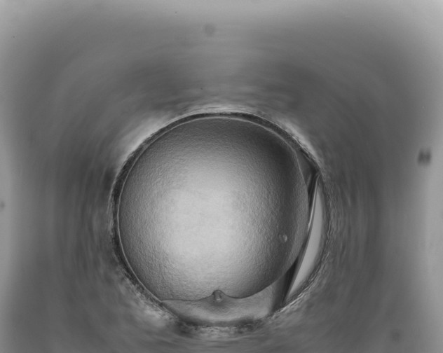 X0000089371173200706221215