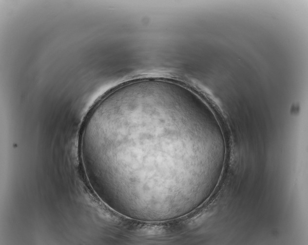 X0000089371174200706221215