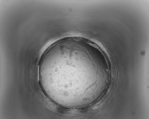 X0000089371175200706221215