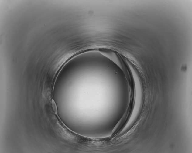 X0000089371177200706221215