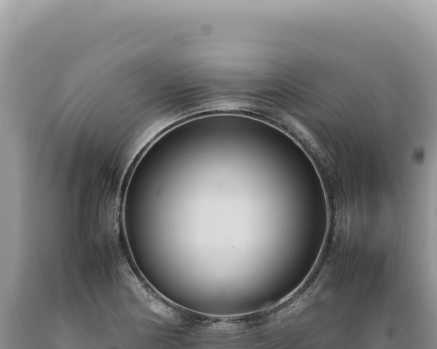 X0000089371178200706221215