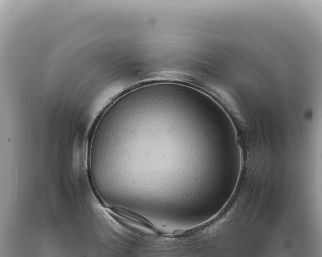X0000089371180200706221215