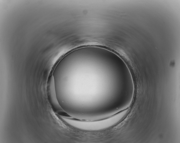 X0000089371181200706221215