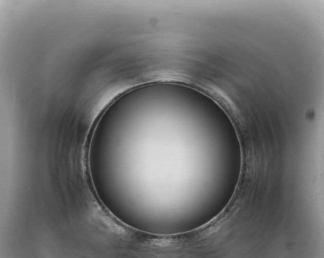 X0000089371182200706221215