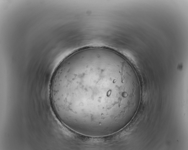 X0000089371183200706221215