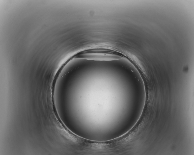 X0000089371184200706221215