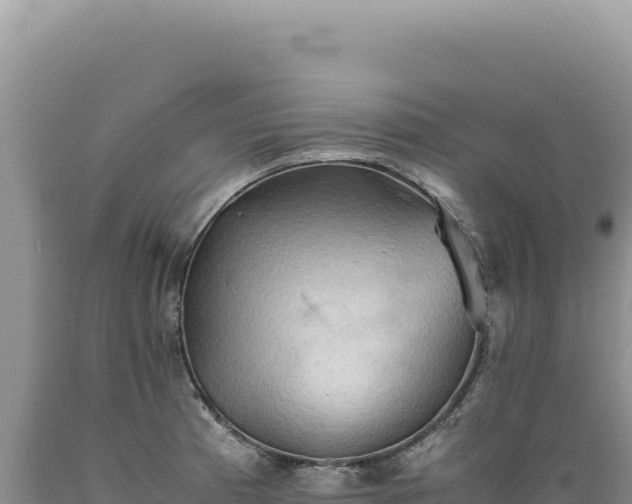 X0000089371185200706221215