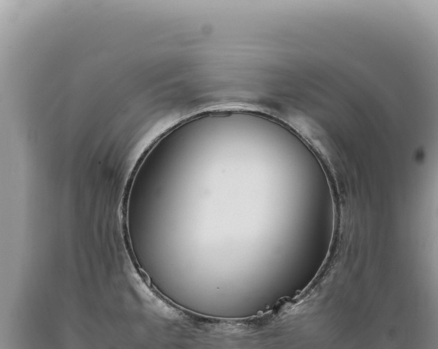 X0000089371189200706221214