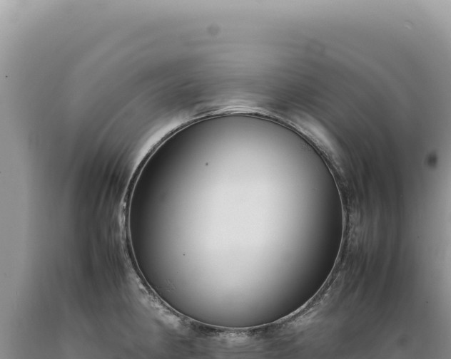 X0000089371190200706221214