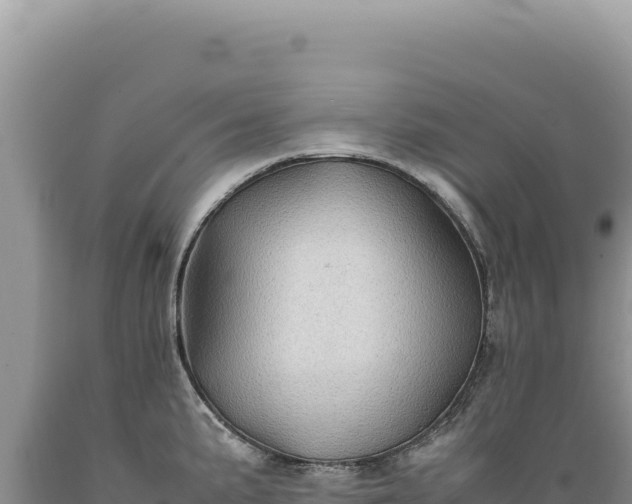 X0000089371191200706221214