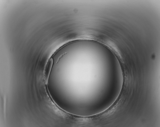 X0000089371192200706221214