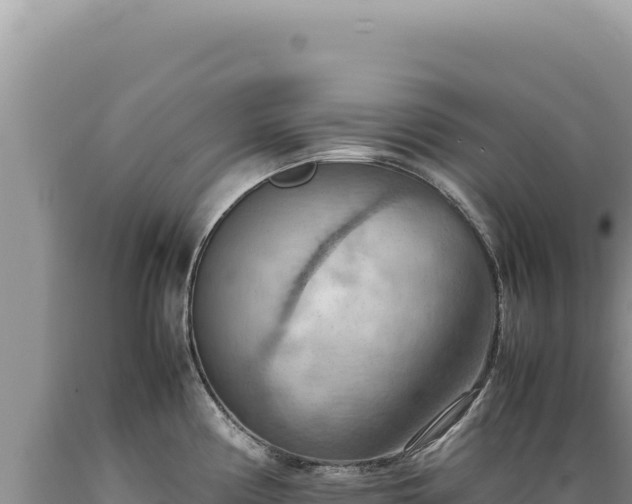 X0000089371194200706221214